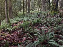 And the folding terrain sometimes gives the creeks a chance to fall.