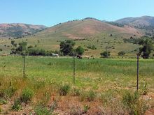 Hills are to brown for this early in the year.