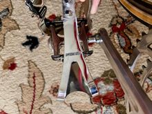 Specialized clips