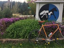 Many horse boarding opportunities around