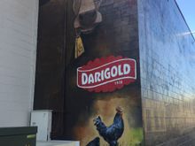 Dairy on Front Street, still fully operational