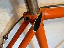 Touched up the black painted seat stay caps. Note on my Champion Team, these are not painted black...