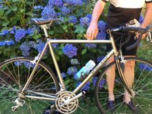 Watering the hydrangeas, post ride.