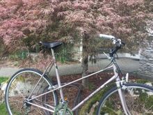 Size XL - saddle height set for someone about 6’1”.