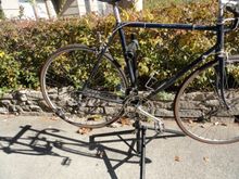 In the sun on the stand.