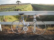rides nice!   the brooks is better than the unicanitor too