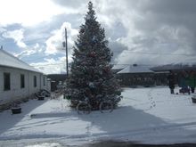 Only a couple more days with Christmas decorations.