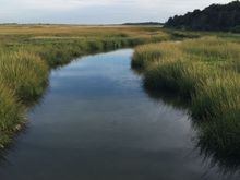 Pathway to Orleans Beach
