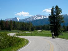 Alpine meadow section of the Pioneer Mountains Scenic Byway in MT.