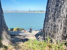 Found a nice bench by the water where I enjoyed a pastry and coffee with views of the bay and former naval base.