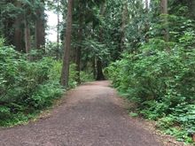 and forests 