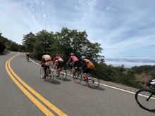Lots of cool bikes to ogle at at the top. I missed being able to go inside the Lick Observatory which is still under repair after suffering roof damage from strong winds this past fall/winter.