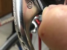 Should be cut back further?