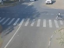 The world's luckiest cyclist