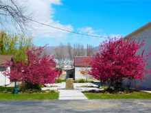 Spring color