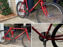  - the freebie, spring project