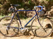 My 710 with lacquer finish.