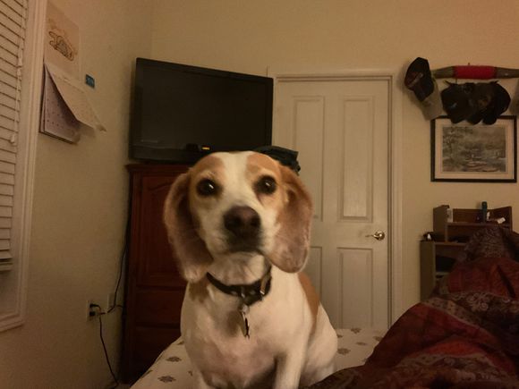 My dad says no experiments on me. Because he will cut your balls off and shove them in your mouth before you die from bleeding out. Yup I saw the story and sad.. 