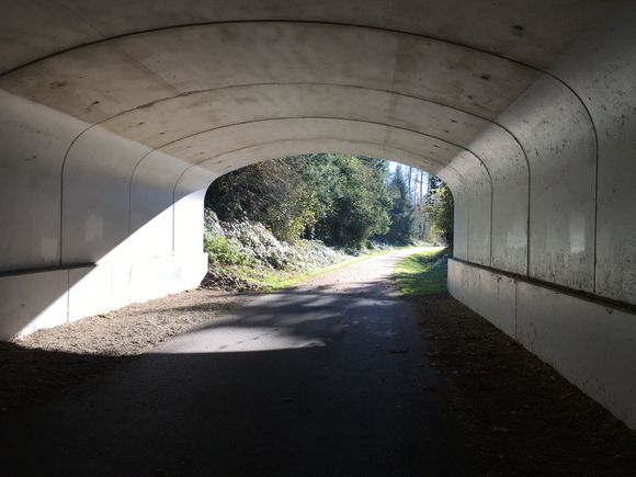 Paint my tunnels white