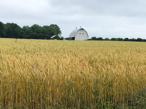 Nice barn!