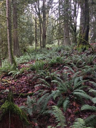 And the folding terrain sometimes gives the creeks a chance to fall.