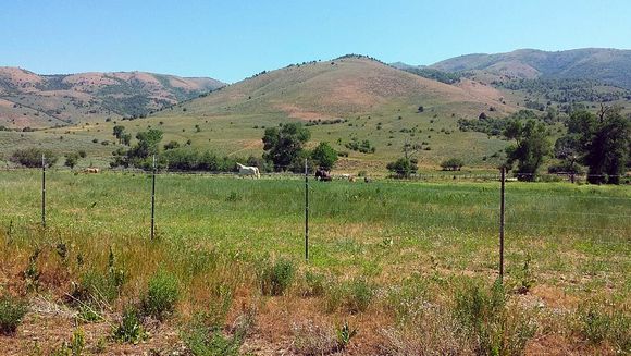 Hills are to brown for this early in the year.