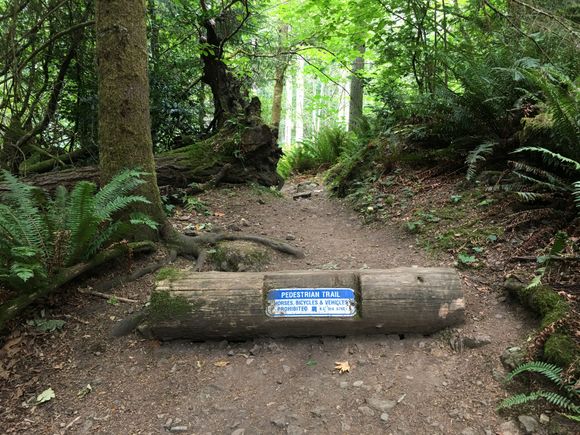 Lots of choices for trails - kinda flat or very hilly