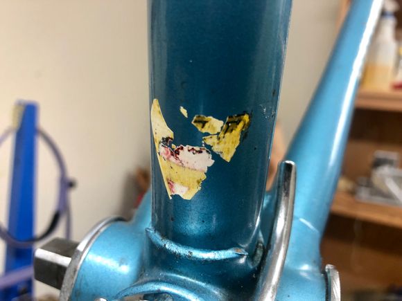 Carlton sticker fragments?