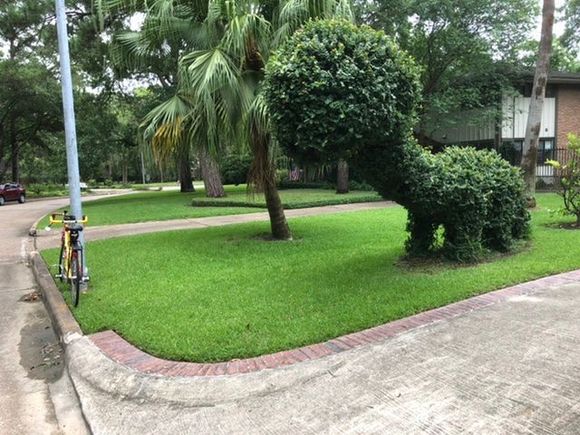 This house used to have more animals and always a big Xmas light display. 
