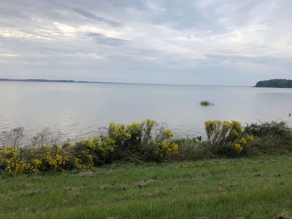 Huge reservoir north of Jackson