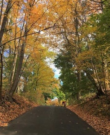 14% grade, short.  8 Sideroad, Burlington