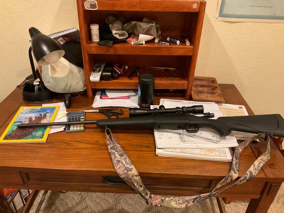Varmit gun actually more powerful than a 223 I don’t need any assault weapons because I am very efficient with this. I have never been assaulted or robbed lol. 
