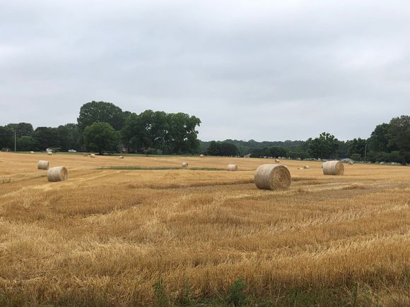 Harvest time.
