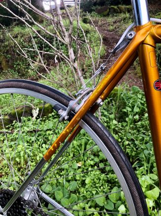 The drive side seat stay seems to have suffered the worst of the paint chipping