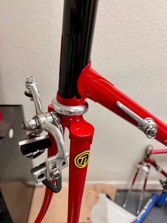 Campy brakes, with Merz titanium center bolts, OMAS dome nuts and titanium recessed nut, alloy pad holders...