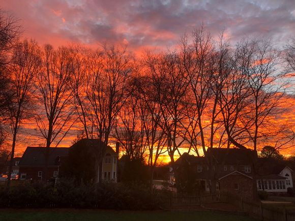 Morning Glory!