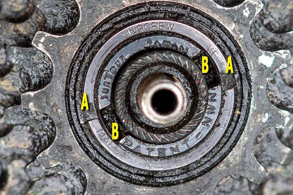 Suntour 2 prong freewheel - does only "B" need loosening?