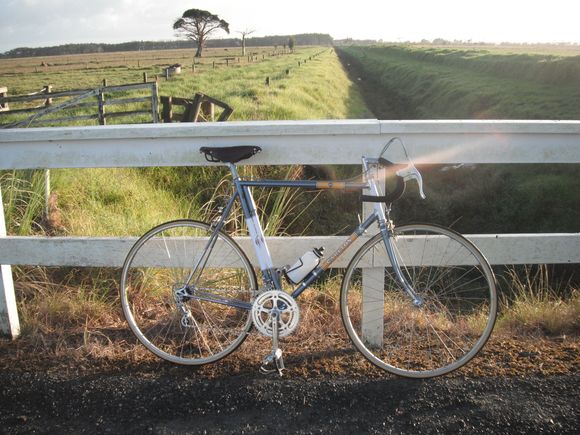 rides nice!   the brooks is better than the unicanitor too