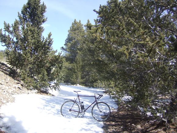 Looks like it will be another month or more before the trails will be clear. I'm getting really tired of snow.