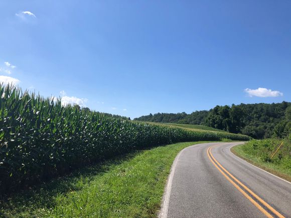 Banner season for corn. Probably going to be a historic yield.