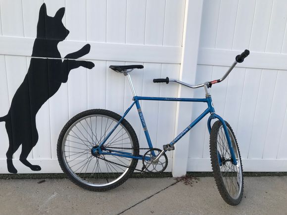 well he seems to like the bike!
