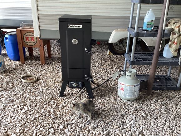 My best mouser approves this cat survived the industrial fan a few years ago. 