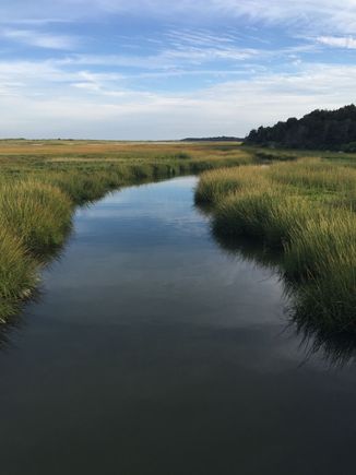 Pathway to Orleans Beach
