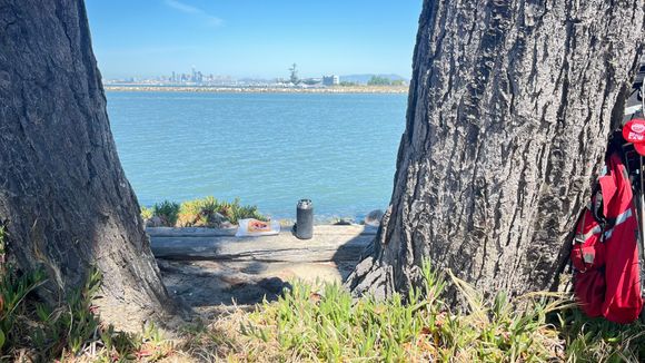 Found a nice bench by the water where I enjoyed a pastry and coffee with views of the bay and former naval base.