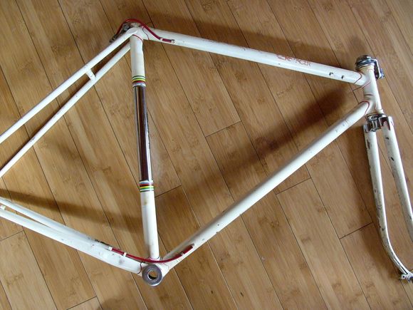 Cilo Pacer