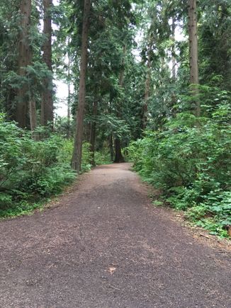 and forests 