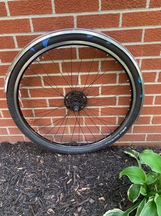 rear fender. I'm happy with the radius I've gotten it bent to. It's not too tight or too loose and looks symmetrical to me.