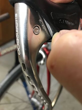 Should be cut back further?