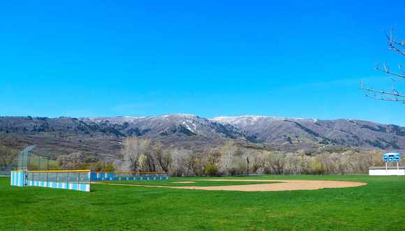 The rains last week have really brought the green to everything.