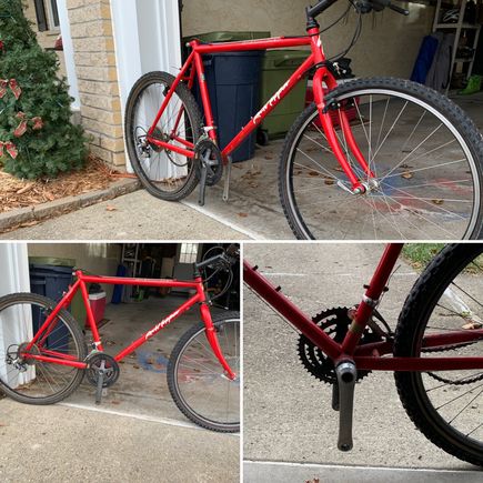 - the freebie, spring project